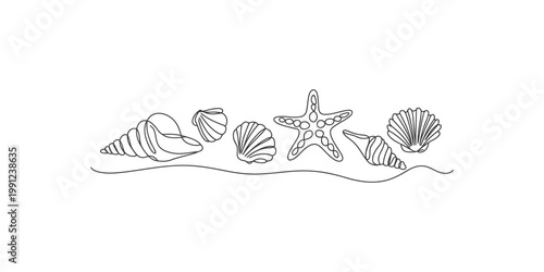 A line drawing of various seashells and a starfish on a white background with a wavy line