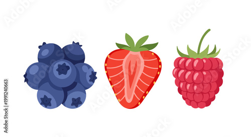 Fresh blueberry cluster strawberry slice and ripe raspberry set.