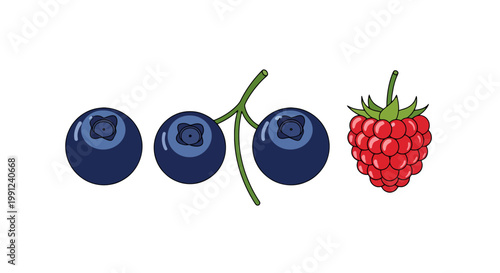 Fresh blueberries and a single raspberry illustration.