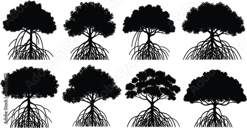 Assorted mangrove tree silhouettes