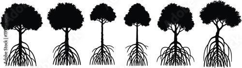 Set of mangrove tree silhouettes with root system with tropical plant with vector art