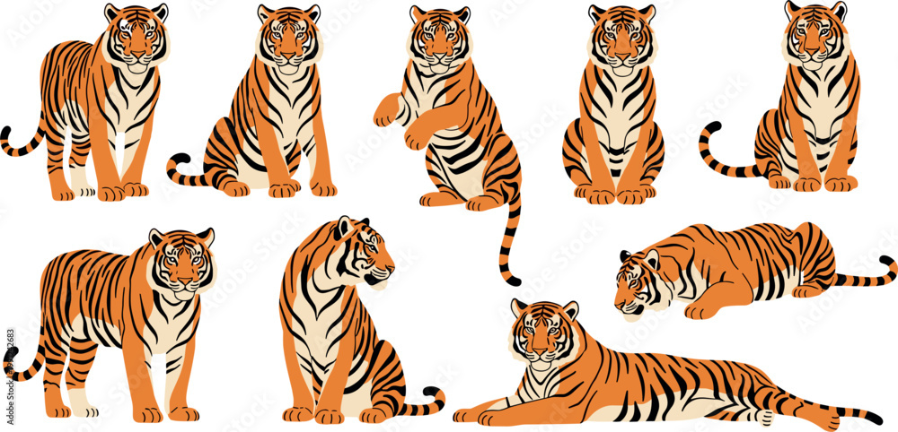 Fototapeta premium Wild Orange Tiger in Multiple Poses Sitting Standing and Lying Cartoon Illustrated Vector Set on White Background