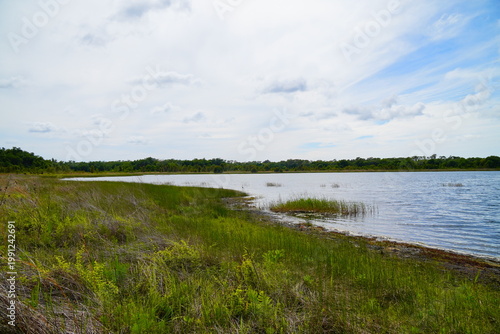 Obraz na płótnie Landscape of Lake Rogers Park in Odessa, Florida, close to Tampa