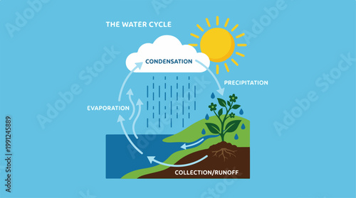Water Cycle Process Diagram Illustration.
