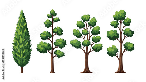Set of four distinct types of trees including a cypress and various broadleaf trees with lush green foliage on white.