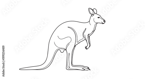 Kangaroo vector illustration with bold lines on white background graphic design