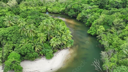 Green rainforest creek waterway Australia