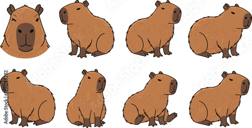 Capybara cartoon character set with cute giant rodent animals poses vector illustration