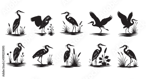 Vector heron silhouettes set with various poses and plants illustration