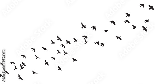 Flock of birds flying in formation vector illustration, black silhouettes, migration pattern, flocking behavior, wildlife graphic design element, birds in flight, vector graphic