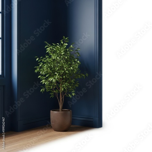 A large potted plant adds a touch of greenery to a dark blue corner.