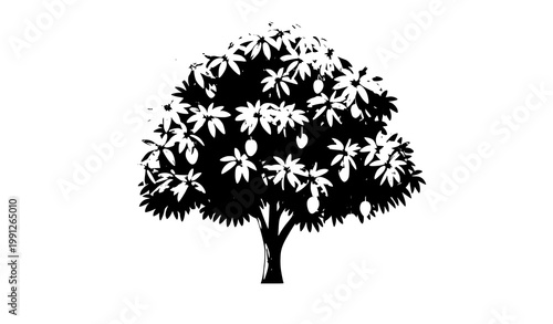 Mango tree vector illustration with green leaves and fruit isolated on white background