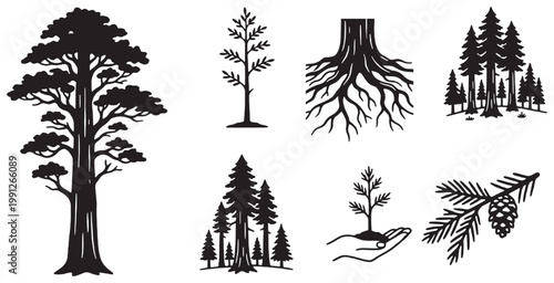 Set of black and white tree silhouettes, including a large redwood, a young sapling, roots, and a pine branch with a cone, illustrating various tree forms and growth stages.