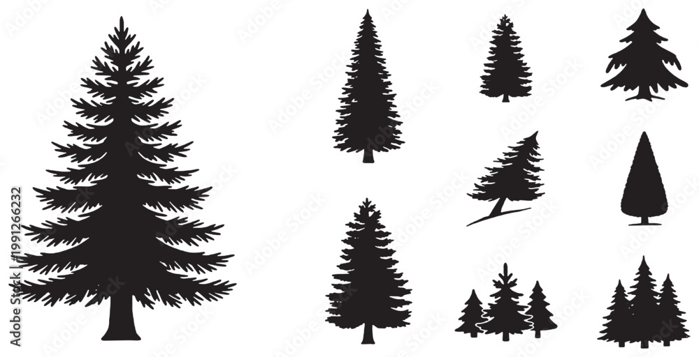 Obraz premium Collection of various black silhouette coniferous trees, including pine and fir, in different shapes and sizes, suitable for design elements.