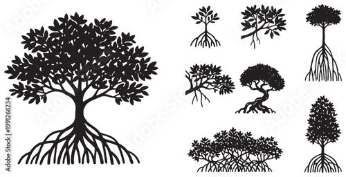 Black silhouettes of various mangrove trees with intricate root systems, illustrating their unique growth patterns and coastal habitats.