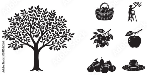 Black and white vector illustration set depicting an apple tree, fruit harvesting, a basket of apples, a person picking fruit, and various fruits.