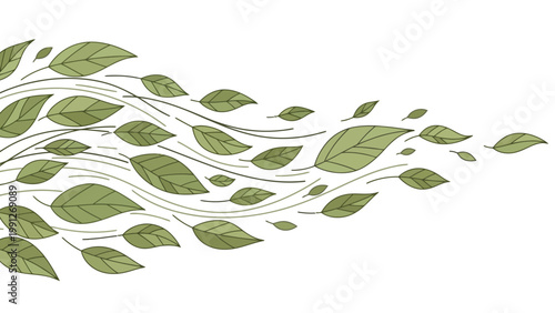 Green leaves on branch.