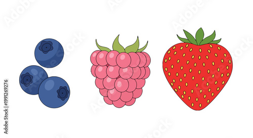 Fresh delicious mix of organic summer berries illustration.