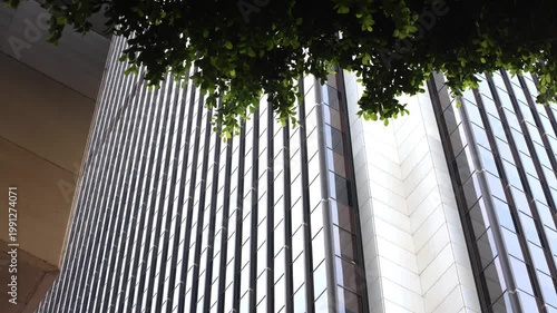 Skyscraper Beyond Tree Next To Downtown Building