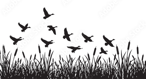 Vector illustration of ducks flying over cattails and grass in silhouette