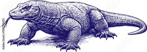 Fotografie Hand Drawn Komodo Dragon Sketch Vector Illustration Isolated Detailed Ink Style