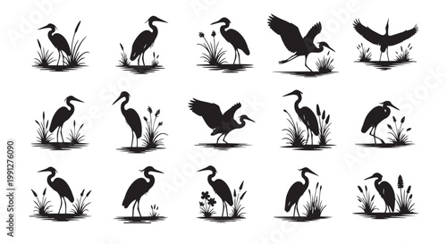 Vector heron silhouettes, black and white illustration set, featuring various heron poses in water with reeds and plants, graphic design elements