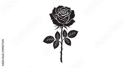 Black rose vector illustration with white outline and leaves on stem