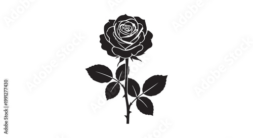 Black rose vector illustration with white outline and stem