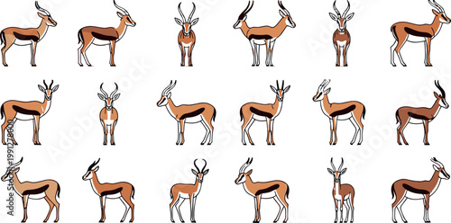 Gazelle antelope animals large set in multiple poses wildlife safari collection isolated flat vector illustration design pack
