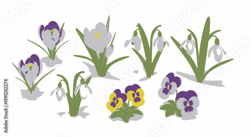 Flat vector collection of spring flowers on white background