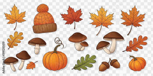 Autumn Elements Set with Maple Leaves Pumpkins Mushrooms Acorns and Cozy Fall Hat Collection Design