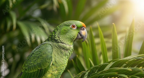 A vibrant parrot perched on a branch amidst lush green foliage, its bright orange beak and striking green plumage standing out against the verdant backdrop.