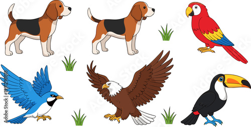 Animal Illustration Set Featuring Beagle Dogs, Parrot, Toucan, Eagle, and Blue Bird with Colorful Wildlife Characters for Nature and Kids Design