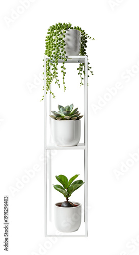 Elegant Indoor Plant Stand with Multiple Potted Greenery for Home Decor