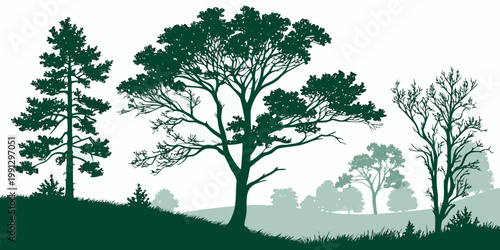 Green forest landscape silhouette with diverse tree species landscape silhouette woodland background evergreen deciduous wilderness botanical environment illustration countryside panoramic