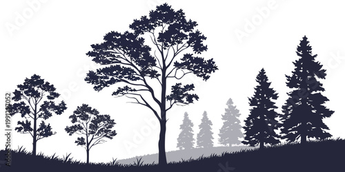 Detailed forest landscape silhouette with rolling hills and conifers silhouette landscape woodland evergreen deciduous background environment botanical wilderness illustration countryside
