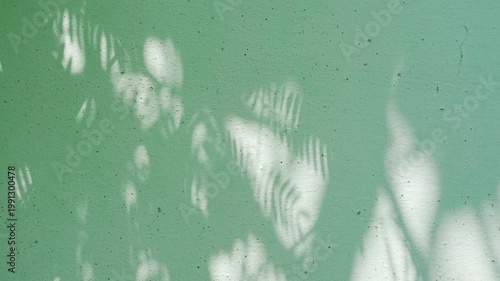 Shadow leaf background wall green overlay abstract plant 4k backdrop mockup minimal summer wallpaper, blur nature spring autumn video vintage branching floral, card holidays.