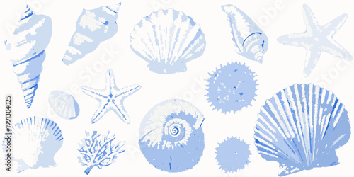 A collection of blue illustrated seashells and starfish on a white background