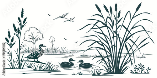 Monochrome ink illustration of a peaceful pond scene with ducks and tall reeds wildlife landscape illustration monochrome environment peaceful swimming countryside minimalist tranquil