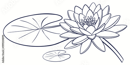 Stylized graphic illustration of a water lily flower and pads with botanical illustration minimalist elements composition ornamental decorative resource isolated peaceful decoration