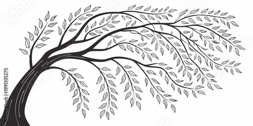 Stylized hand-drawn weeping tree branch with detailed leaves illustration botanical woodland ornamental environment wildlife landscape isolated creative minimalist silhouette pendulous