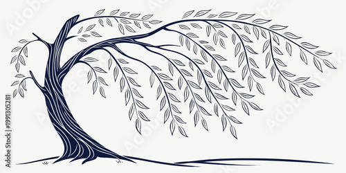 Minimalist weeping willow tree line art sketch drawing with botanical illustration minimalist silhouette landscape monochrome isolated decoration artistic romantic peaceful creative