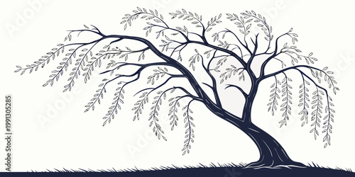 Stylized artistic weeping willow tree ink illustration with illustration botanical landscape silhouette monochrome isolated decoration artistic creative background environment seasonal