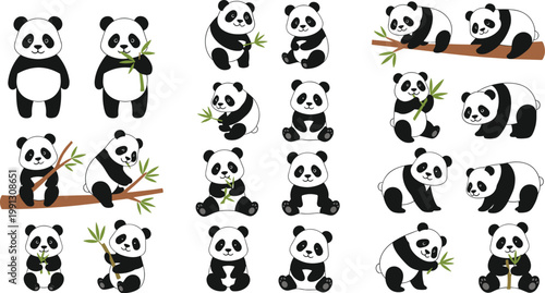 Cute panda cartoon set with bamboo eating bears and kawaii animal characters vector illustration