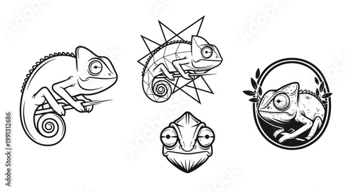Chameleon Illustrations - A Collection of Detailed Line Art Designs.