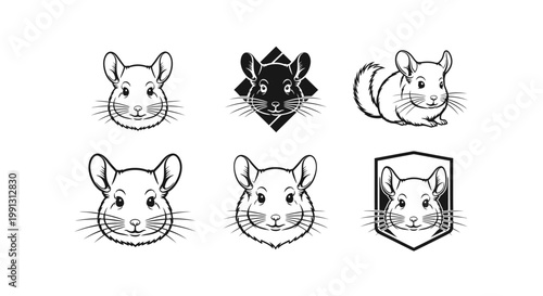 Chinchilla Illustrations - A Collection of Adorable Rodent Designs.