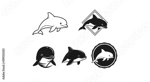 Collection of Dolphin Illustrations - A Study in Marine Mammal Art.