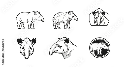 Detailed Tapir Illustrations - A Collection of Black and White Line Art.