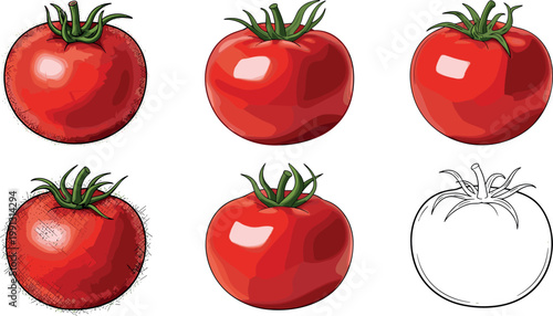 Set of hand drawn tomato illustrations with different styles including realistic glossy textured sketch and outline versions isolated
