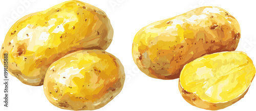 2 sets of watercolor Potatoes, whole and halved, in clipart style, on a white background